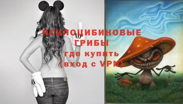 ешки Наволоки